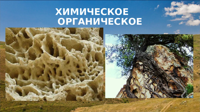 ХИМИЧЕСКОЕ ОРГАНИЧЕСКОЕ 