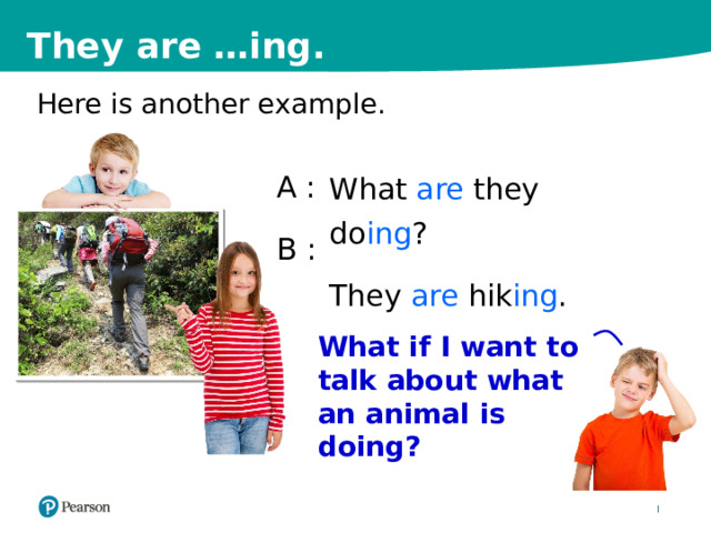 They are …ing. Here is another example. A  : B : What are they do ing ? They are hik ing . What if I want to talk about what an animal is doing? 11 
