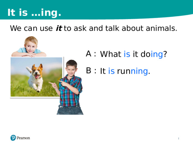 It is …ing. We can use it to ask and talk about animals. A  : B : What is it do ing ? It is run ning . 12 