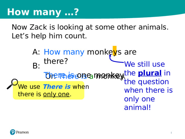 How many …? Now Zack is looking at some other animals. Let’s help him count. A: How many monkeys are there? B: There is one monkey. We still use the plural in the question when there is only one animal! Or: There is a monkey. We use There is when there is only one . 11 