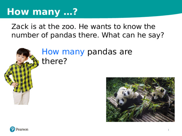 How many …? Zack is at the zoo. He wants to know the number of pandas there. What can he say? How many pandas are there? How many …? 4 