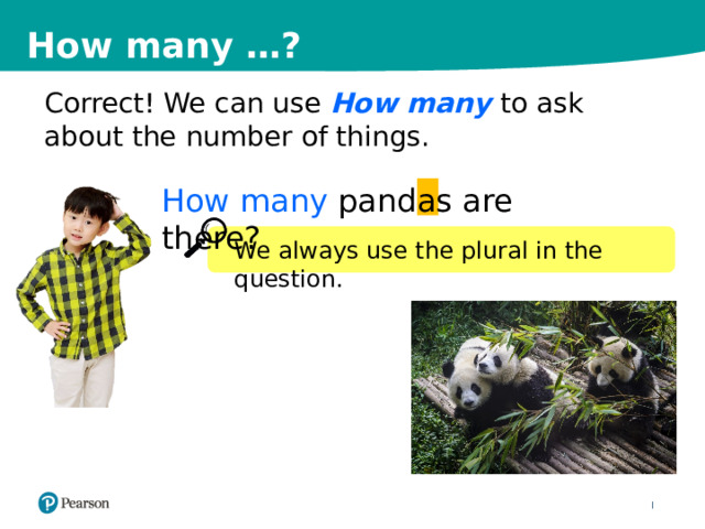 How many …? Correct! We can use How many to ask about the number of things. How many pandas are there? We always use the plural in the question. 5 