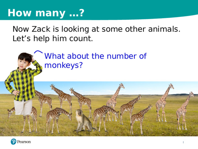 How many …? Now Zack is looking at some other animals. Let’s help him count. What about the number of monkeys? 8 