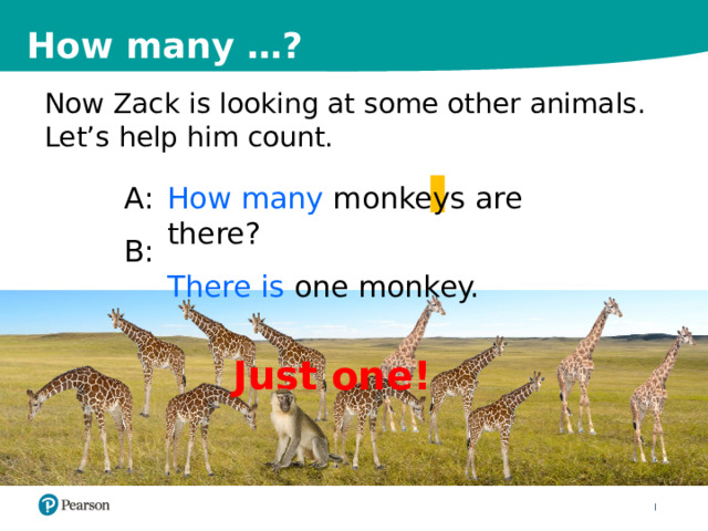 How many …? Now Zack is looking at some other animals. Let’s help him count. How many monkeys are there? A: There is one monkey. B: Just one! 9 