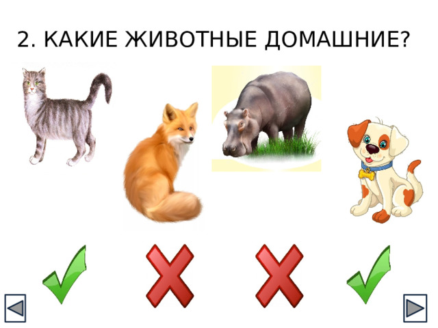 2. КАКИЕ ЖИВОТНЫЕ ДОМАШНИЕ? 