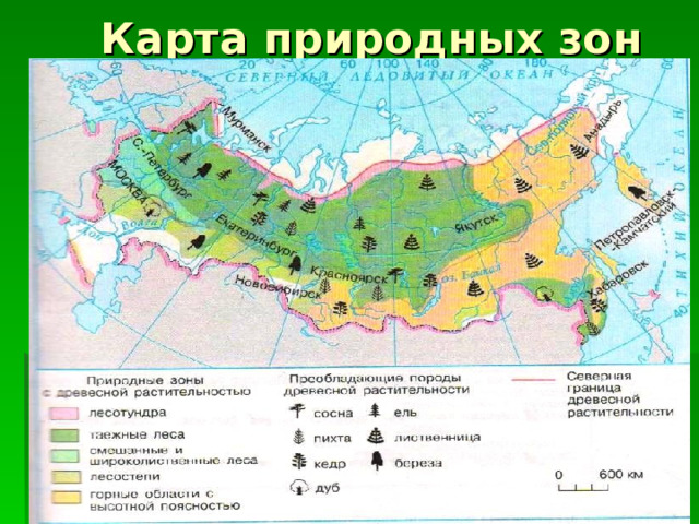 Карта природных зон России 