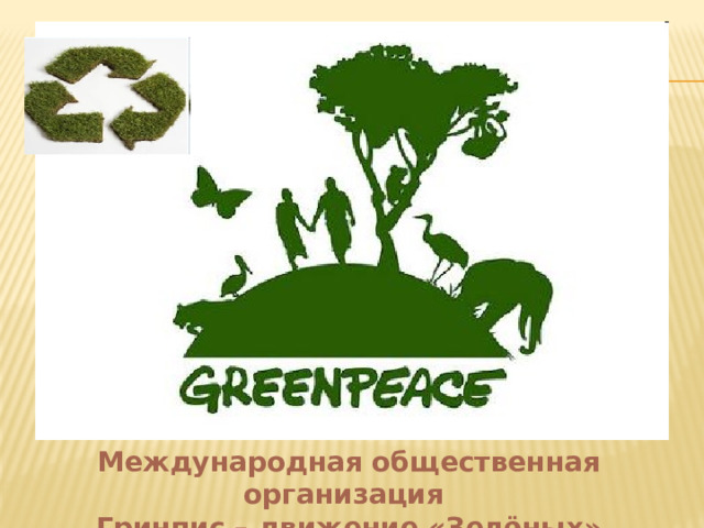 Международная общественная организация Гринпис – движение «Зелёных» 