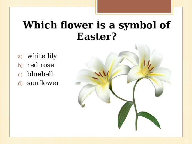 Which flower is a symbol of Easter? white lily red rose bluebell sunflower 