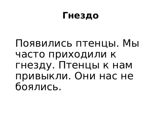  Гнездо Появились птенцы. Мы часто приходили к гнезду. Птенцы к нам привыкли. Они нас не боялись. 