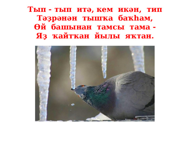  Тып - тып итә, кем икән, тип Тәҙрәнән тышҡа баҡһам, Өй башынан тамсы тама - Яҙ ҡайтҡан йылы яҡтан. 