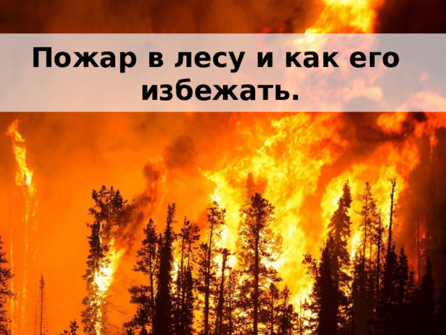 Пожар в лесу и как его избежать. 