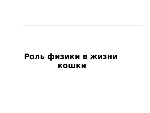  Роль физики в жизни  кошки 