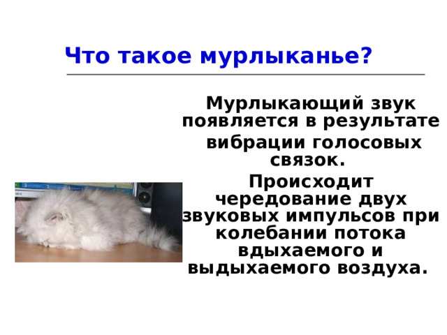 Что такое мурлыканье? Мурлыкающий звук появляется в результате  вибрации голосовых связок. Происходит чередование двух звуковых импульсов при колебании потока вдыхаемого и выдыхаемого воздуха. 