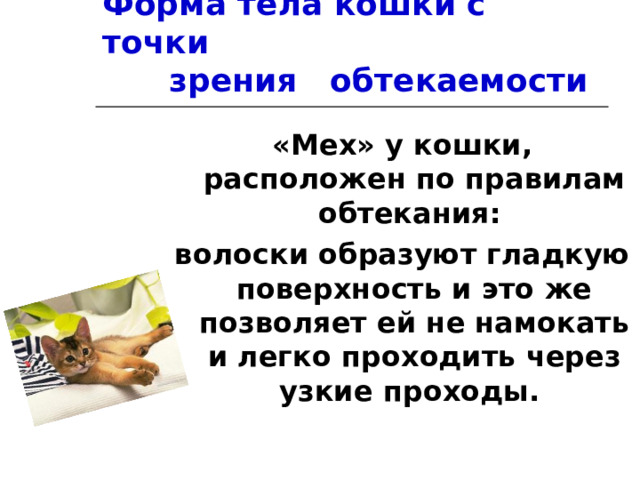 Форма тела кошки с точки зрения обтекаемости «Мех» у кошки, расположен по правилам обтекания: волоски образуют гладкую поверхность и это же позволяет ей не намокать и легко проходить через узкие проходы. 