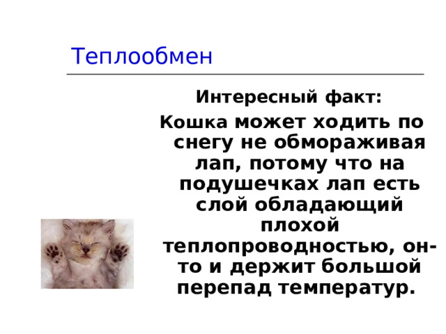 Теплообмен Интересный факт:  Кошка может ходить по снегу не обмораживая лап, потому что на подушечках лап есть слой обладающий плохой теплопроводностью, он- то и держит большой перепад температур. 