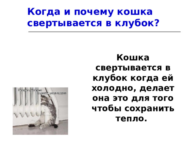 Когда и почему кошка свертывается в клубок? Кошка свертывается в клубок когда ей холодно, делает она это для того чтобы сохранить тепло. 