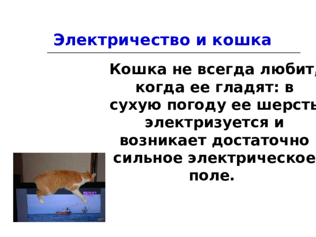 Электричество и кошка Кошка не всегда любит, когда ее гладят: в сухую погоду ее шерсть электризуется и возникает достаточно сильное электрическое поле. 