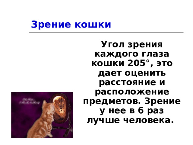 Зрение кошки Угол зрения каждого глаза кошки 205 ° , это дает оценить расстояние и расположение предметов. Зрение у нее в 6 раз лучше человека. 