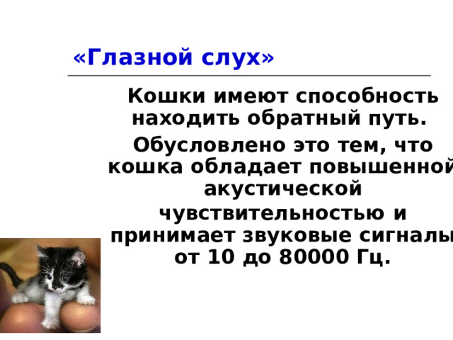 «Глазной слух» Кошки имеют способность находить обратный путь. Обусловлено это тем, что кошка обладает повышенной акустической чувствительностью  и принимает звуковые сигналы от 10 до 80000 Гц. 