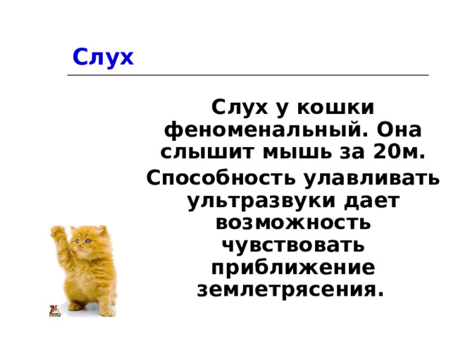 Слух Слух у кошки феноменальный. Она слышит мышь за 20м. Способность улавливать ультразвуки дает возможность чувствовать приближение землетрясения.  