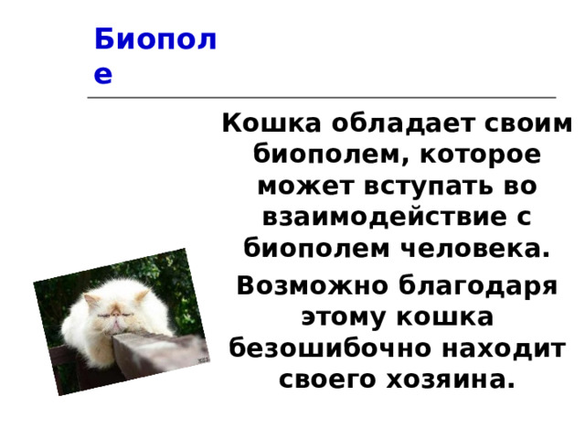 Биополе Кошка обладает своим биополем, которое может вступать во взаимодействие с биополем человека. Возможно благодаря этому кошка безошибочно находит своего хозяина.  