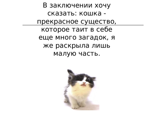 В заключении хочу сказать: кошка - прекрасное существо, которое таит в себе еще много загадок, я же раскрыла лишь малую часть. 