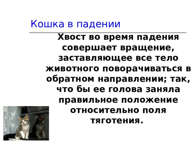 Кошка в падении Хвост во время падения совершает вращение, заставляющее все тело животного поворачиваться в обратном направлении; так, что бы ее голова заняла правильное положение относительно поля тяготения. 
