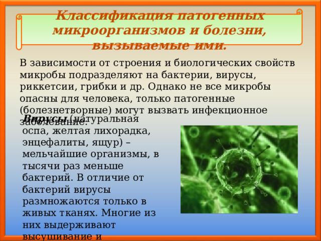 Классификация патогенных микроорганизмов и болезни, вызываемые ими. В зависимости от строения и биологических свойств микробы подразделяют на бактерии, вирусы, риккетсии, грибки и др. Однако не все микробы опасны для человека, только патогенные (болезнетворные) могут вызвать инфекционное заболевание: Вирусы (натуральная оспа, желтая лихорадка, энцефалиты, ящур) – мельчайшие организмы, в тысячи раз меньше бактерий. В отличие от бактерий вирусы размножаются только в живых тканях. Многие из них выдерживают высушивание и температуру выше 100 о С . 