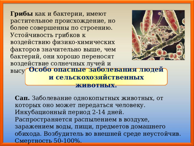 Грибы как и бактерии, имеют растительное происхождение, но более совершенны по строению. Устойчивость грибков к воздействию физико-химических факторов значительно выше, чем бактерий, они хорошо переносят воздействие солнечных лучей и высушивание. Особо опасные заболевания людей и сельскохозяйственных животных. Сап. Заболевание однокопытных животных, от которых оно может передаться человеку. Инкубационный период 2-14 дней. Распространяется распылением в воздухе, заражени­ем воды, пищи, предметов домашнего обихода. Возбудитель во внешней среде неустойчив. Смертность 50-100%. 