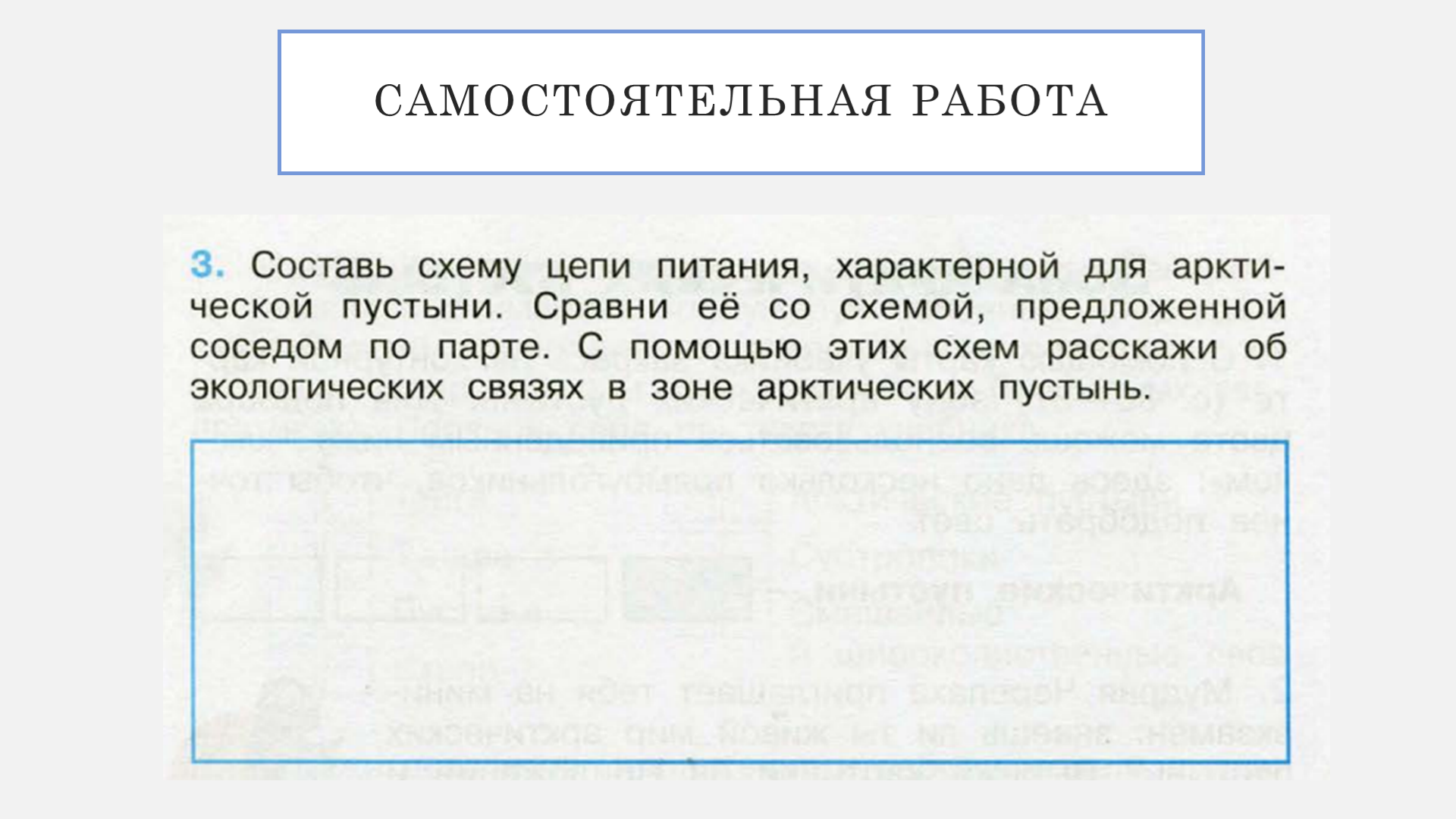 Конспект урока по окружающему миру 