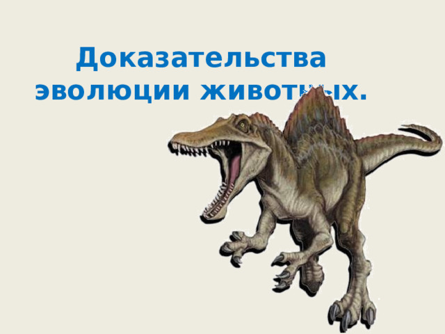 Доказательства эволюции животных. 