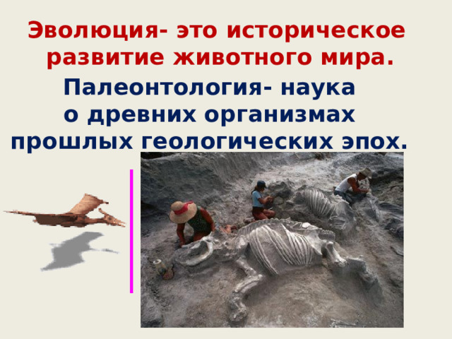 Эволюция- это историческое развитие животного мира. Палеонтология- наука  о древних организмах прошлых геологических эпох. 
