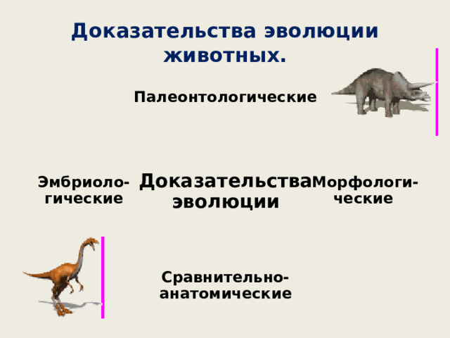 Доказательства эволюции животных. Палеонтологические Морфологи-ческие  Эмбриоло-гические Доказательства эволюции Сравнительно-анатомические 