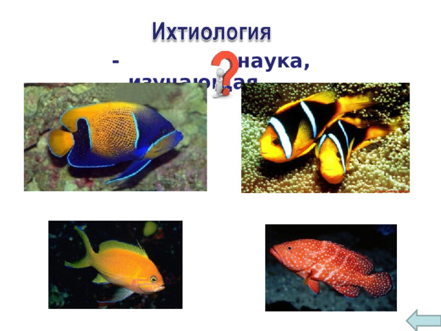 - наука, изучающая рыб 6 