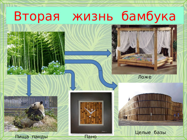 Вторая жизнь бамбука Ложе Целые базы Пано Пища панды 