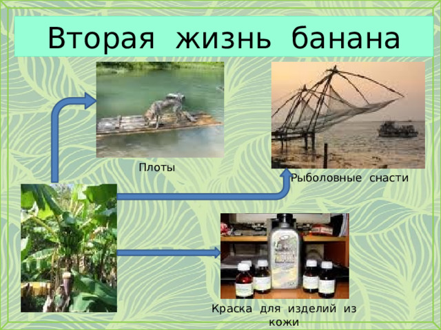 Вторая жизнь банана Плоты Рыболовные снасти Краска для изделий из кожи 