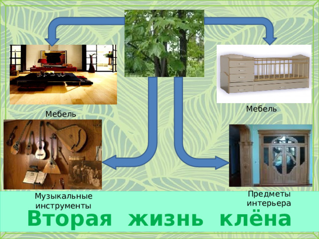 Мебель Мебель Предметы интерьера Музыкальные инструменты Вторая жизнь клёна 