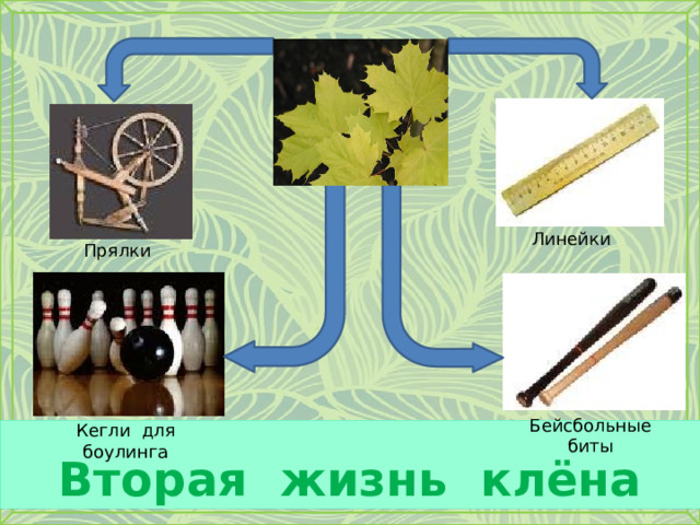 Проект экоград 2 класс