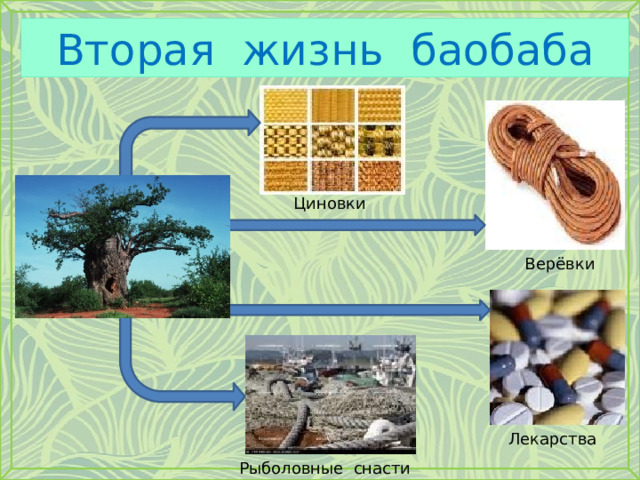 Вторая жизнь баобаба Циновки Верёвки Лекарства Рыболовные снасти 
