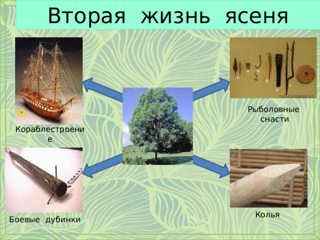 Вторая жизнь ясеня Рыболовные снасти Кораблестроение Колья Боевые дубинки 