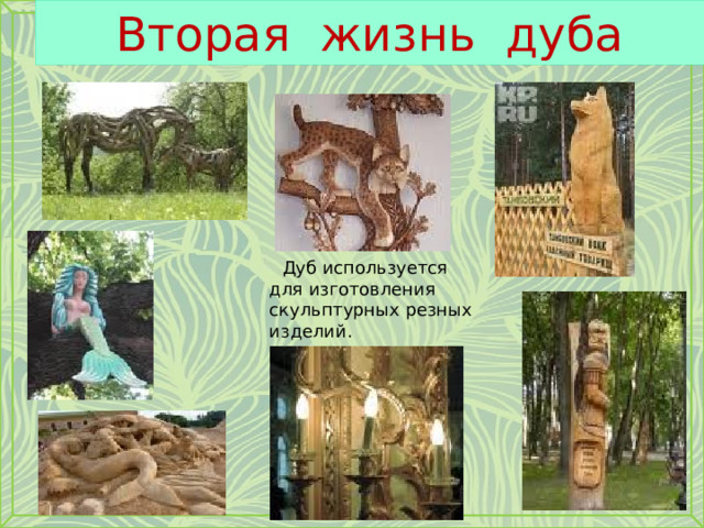 Вторая жизнь дуба  Дуб используется для изготовления скульптурных резных изделий. 
