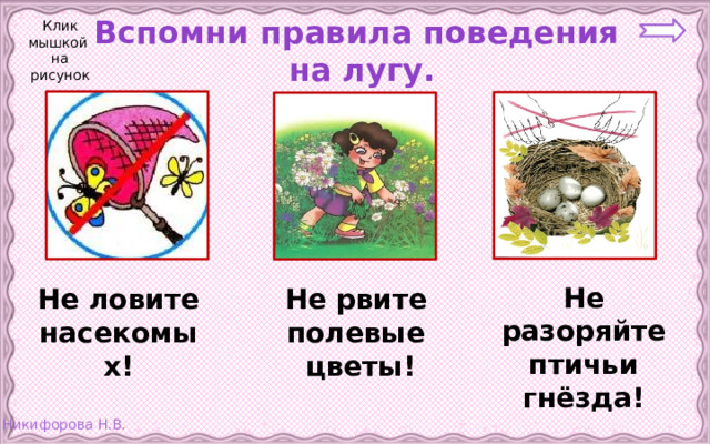 Клик мышкой на рисунок Вспомни правила поведения  на лугу. Не разоряйте птичьи гнёзда! Не рвите полевые цветы! Не ловите насекомых! 