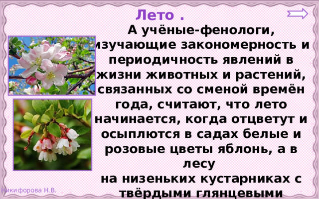 Лето . А учёные-фенологи, изучающие закономерность и периодичность явлений в жизни животных и растений, связанных со сменой времён года, считают, что лето начинается, когда отцветут и осыплются в садах белые и розовые цветы яблонь, а в лесу на низеньких кустарниках с твёрдыми глянцевыми листочками распустятся цветы брусники. 