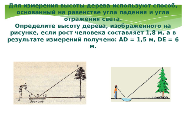 Для  измерения высоты дерева используют способ, основанный на равенстве угла падения и угла отражения света.  Определите высоту дерева, изображенного на рисунке, если рост человека составляет 1,8 м, а в результате измерений получено: АD = 1,5 м, DЕ = 6 м. 