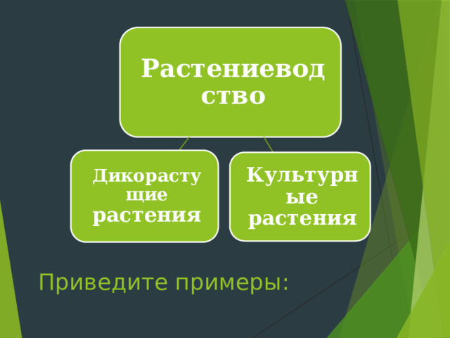 Растениеводство Дикорастущие растения Культурные растения Приведите примеры: 