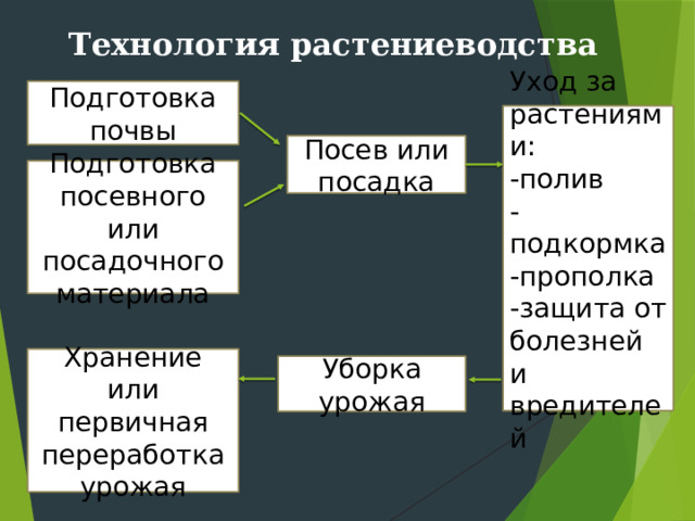 Технология растениеводства Подготовка почвы Уход за растениями: -полив -подкормка -прополка -защита от болезней и вредителей Посев или посадка Подготовка посевного или посадочного материала Хранение или первичная переработка урожая Уборка урожая 