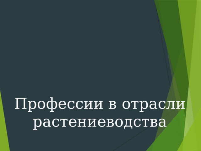 Профессии в отрасли растениеводства 