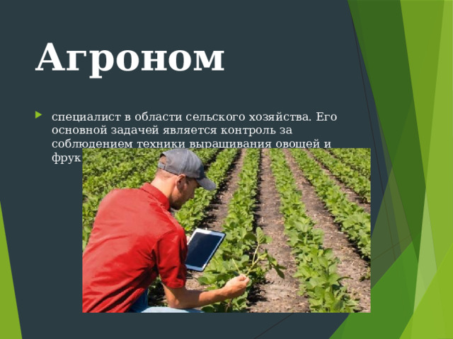 Технологии растениеводства 5 класс. Основные направления растениеводства 5 класс презентация. Технология растениеводства развернуто.