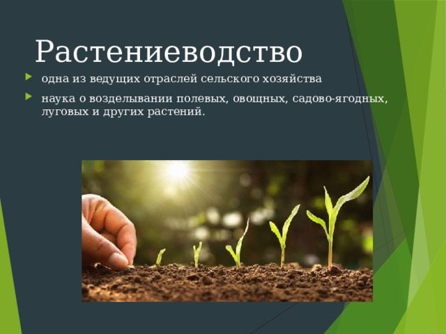 Перечислите технологии растениеводства 6 класс. Технологии растениеводства. Технология растениеводства проект. Технологии урок выращивание растений. Технология растениеводства рисунок