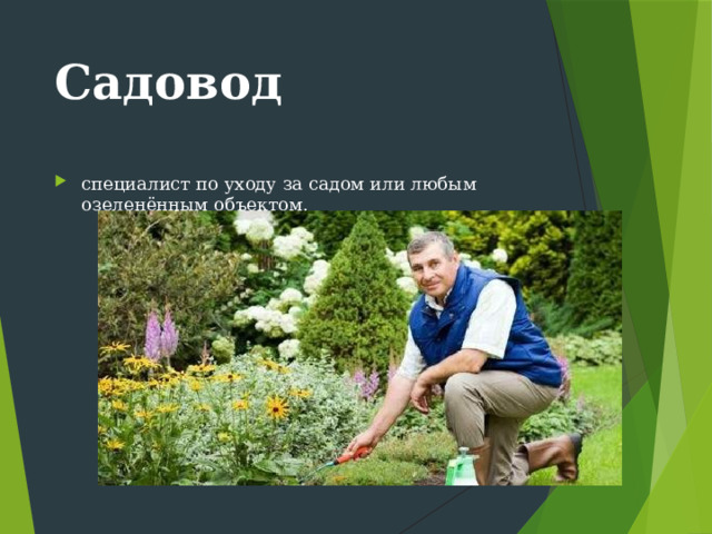 Садовод специалист по уходу за садом или любым озеленённым объектом. 